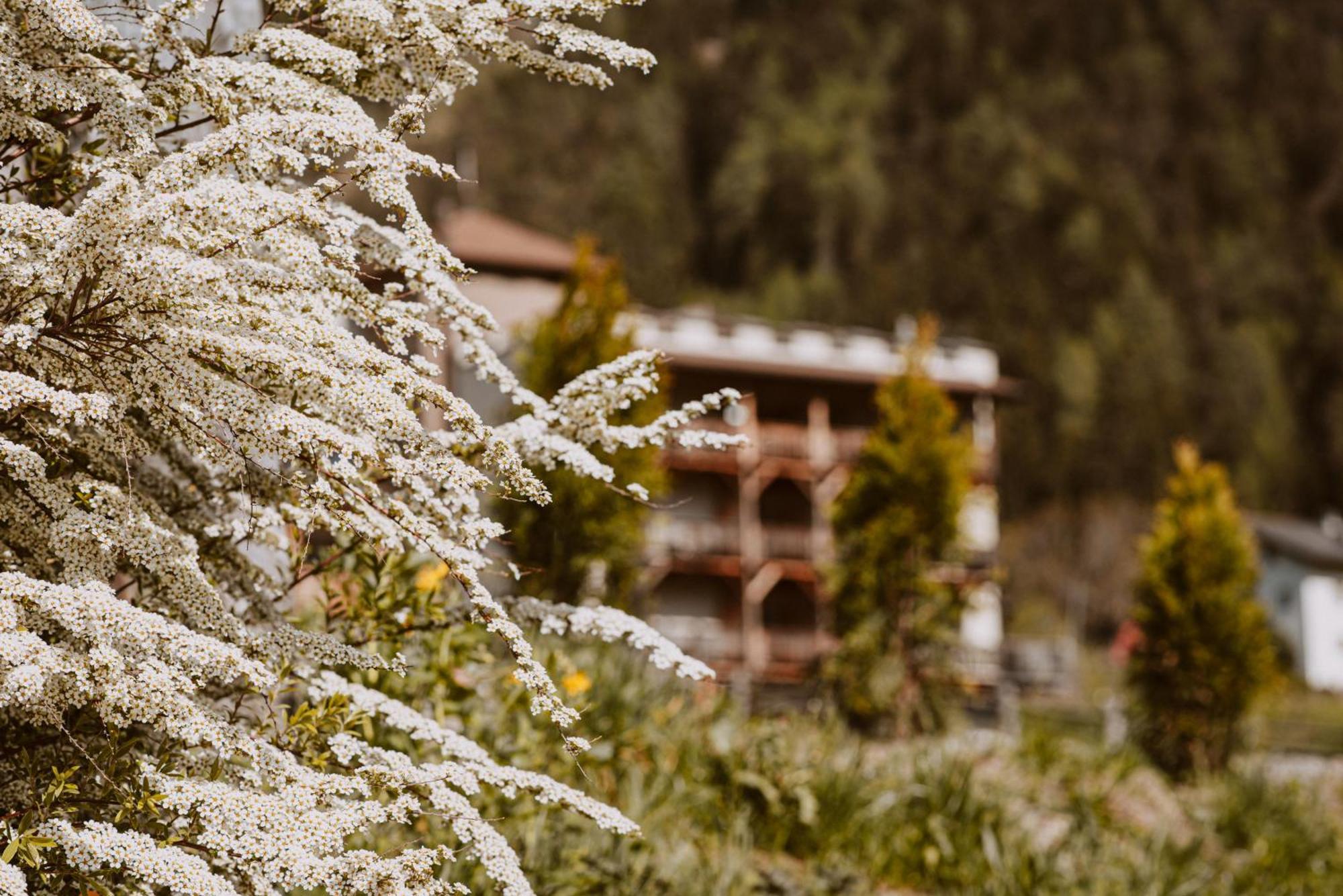 Hotel Bergschloessl Luson Exterior photo